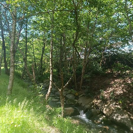 Apartament Bermeo Y Urdaibai - Parking-Ascensor - Wifi - Tranquilo Zewnętrze zdjęcie
