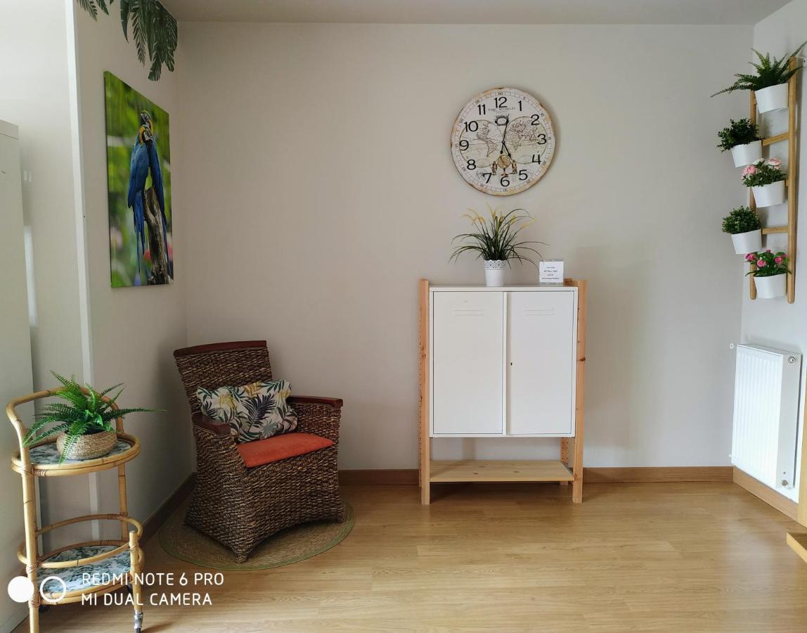 Apartament Bermeo Y Urdaibai - Parking-Ascensor - Wifi - Tranquilo Zewnętrze zdjęcie